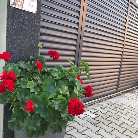 Kristina House * Opornica